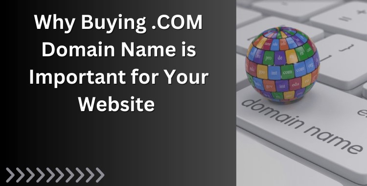 Why-Buying-a-.COM-Domain-Name-is-Important-for-Your-Website-1-1